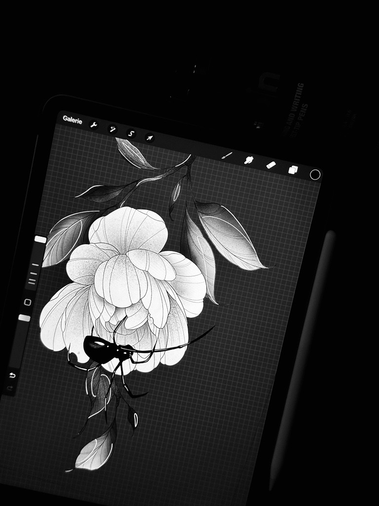 Illustrations Main Image